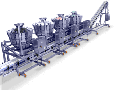 CompletePackagingSystem_FrozenFoodPackaging_2_1