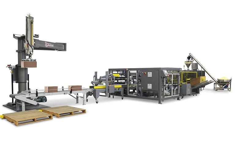 Case packing system to automatically open fill seal and load pouches into cases