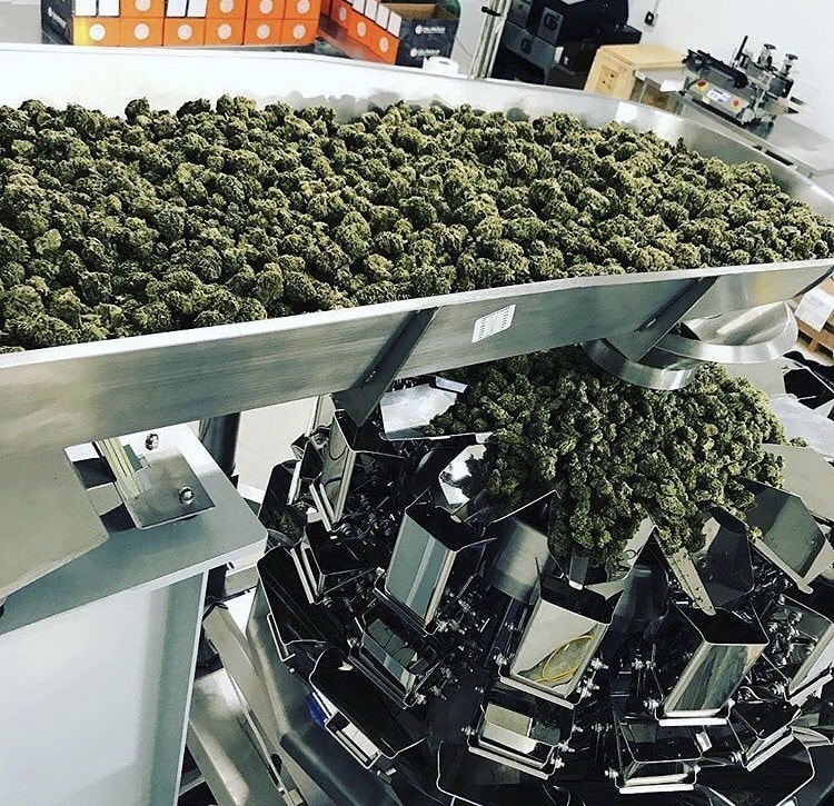 PrimoCombi-cannabis-packaging-machine